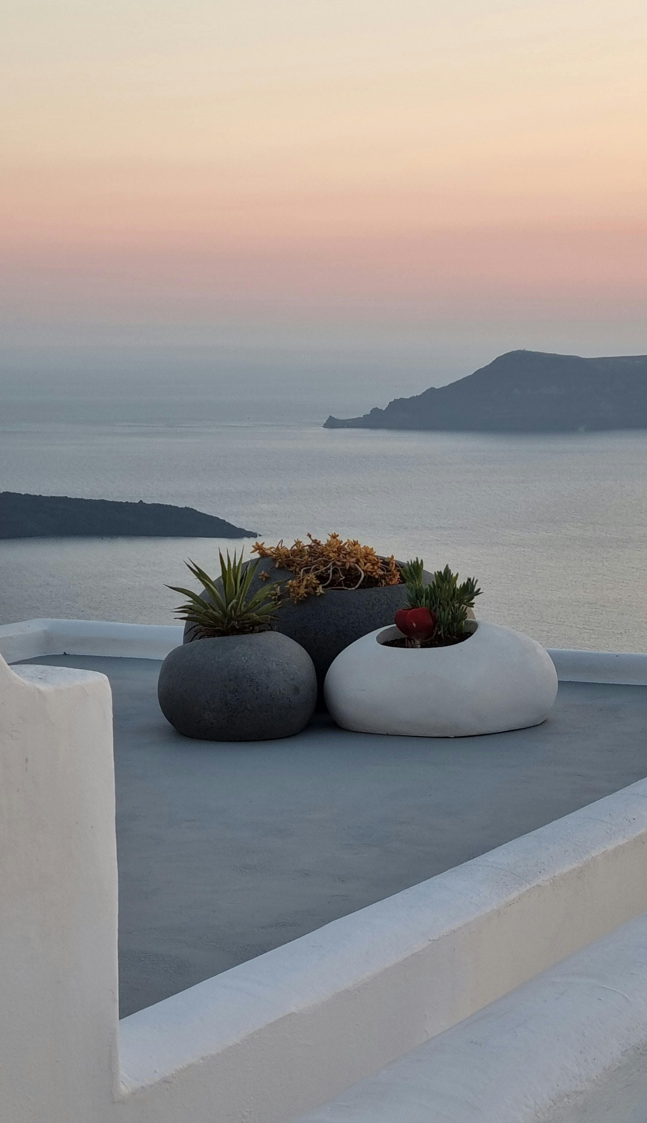 Séance de psychothérapie dans un cadre apaisant