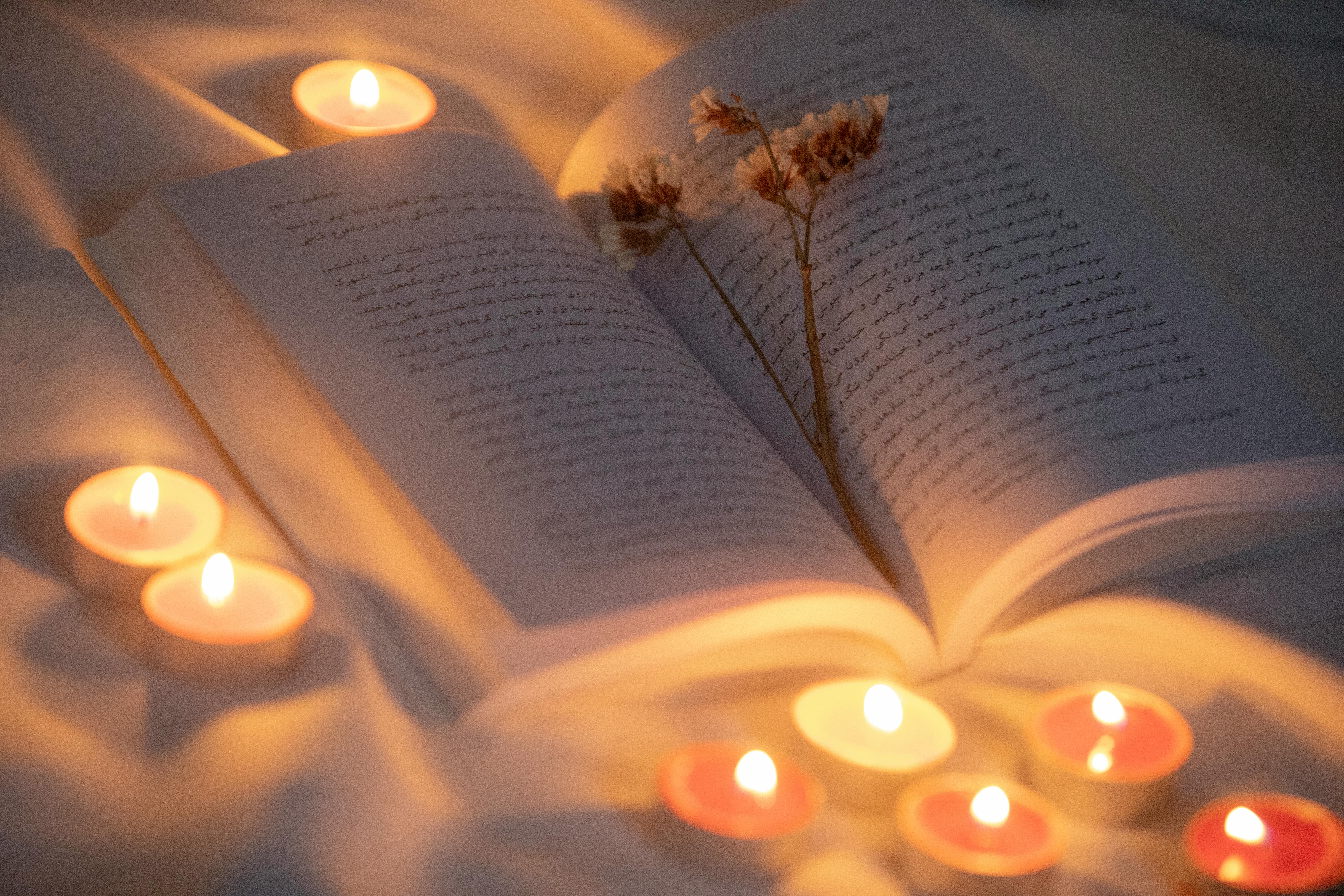 Carnet de notes pour les articles